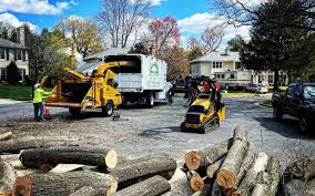 Best Firewood Processing and Delivery  in Urbana, IL